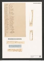 Navicula gracilis Kuetz. (de-Toni-Nr.: Genus 1, Species 100) Zeichnungen Sammlung Grunow (NHMW-BOT-W0366534)